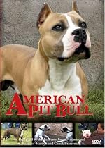 American Pit Bull