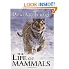 The Life of Mammals