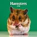 Hamsters 2010 Wall Calendar