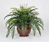 Artificial Fern in Fishbowl Vase, Brown