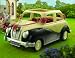 Sylvanian Families Wedding Car_s-2