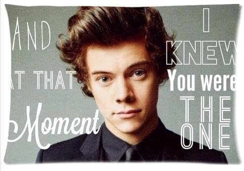 Custom One Direction Harry Styles 20 x 30 Inch Cloth Rectangle Pillow Cover Cushion Case