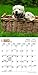 Golden Retriever Puppies 2016 Calendar