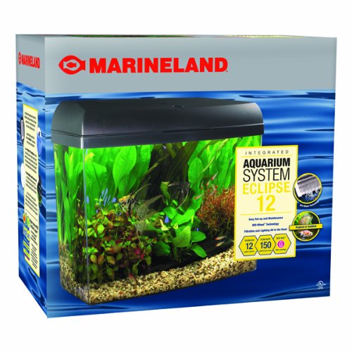 Marineland Eclipse Integrated Aquarium System, 12Gallon (B0002APZWQ