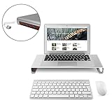 LOE(ロエ) 液晶モニター デスクスタンド アルミニウム製 (TV, PCモニター, ノートPC, ,iMac向け) (シルバー USBハブ付)