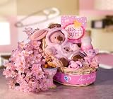 Welcome Baby Girl Gift Basket!
