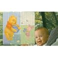 Winnie the Pooh Car Window Sun Screen 15