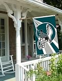 Philadelphia Eagles 3'x5' Helmet Design Flag