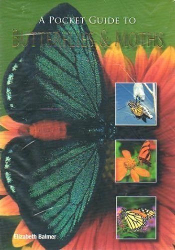 a pocket guide to butterflies  moths