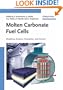 Molten Carbonate Fuel Cells: Modeling, Analysis, Simulation, and Control