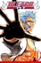 Bleach, Vol. 24