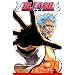 Bleach, Vol. 24