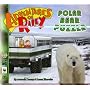 Adventures of Riley--The Polar Bear Puzzle