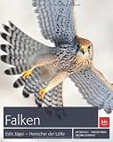Produkt-Bild: Falken: Edle J&auml;ger - Herrscher der L&uuml;fte