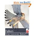Falken: Edle J�ger - Herrscher der L�fte