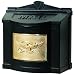 Gaines Eagle Design Wall Mount Mailbox - Black Polished Brass