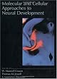 Molecular and Cellular Approaches to Neural Development