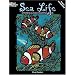 Sea Life Stained Glass Coloring Book (Dover Nature Stained Glass Coloring Book)