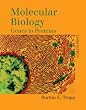 Molecular Biology: Genes to Proteins