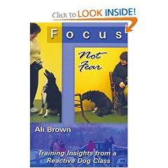 Focus Not Fear: Training Insights from a Reactive Dog Class
