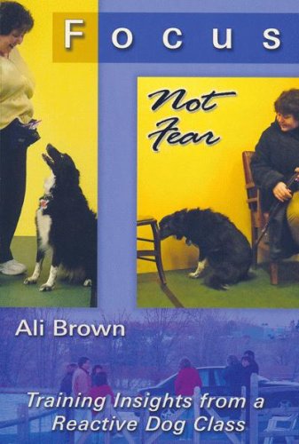 Focus Not Fear: Training Insights from a Reactive Dog Class