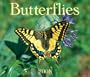 Butterflies 2008 (Calendar)