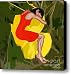 BED Canvas Print / Canvas Art - Artist Patrick J Murphy