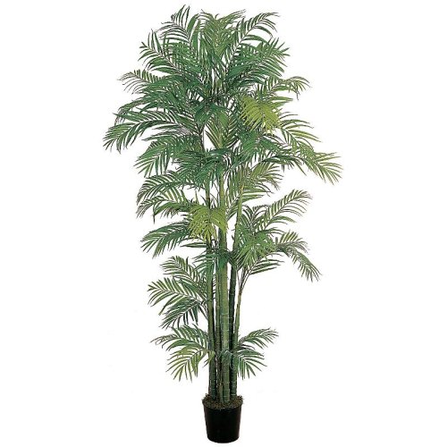 Areca Silk Palm Tree 7′