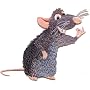 Disney PIXAR Ratatouille Movie - 4" Remy Cute Rat Mouse