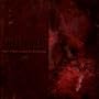 Given Flight by Demon's Wings [Explicit]