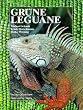 Gr�ne Leguane