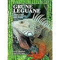 Gr�ne Leguane