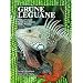 Gr�ne Leguane
