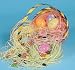 Easter Basket Items 1 Dz Edible Easter Grass