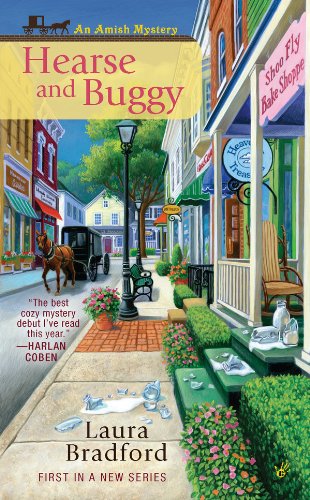 Hearse and Buggy (An Amish Mystery Book 1)
