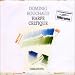 Dominig bouchaud, Vibrations - harpe celtique