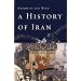 A History of Iran: Empire of the Mind