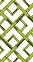 Caspari Set of Two Bamboo Green Paper Guest Towels packages, 15-Per Package