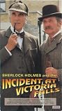 Sherlock Holmes & Incident at Victoria Falls [VHS]
