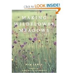 Making a Wildflower Meadow