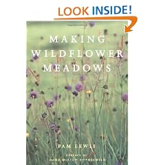 Making a Wildflower Meadow