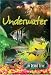 Underwater (Darby Creek Exceptional Titles)