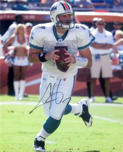 Chad Henne Autographed/Hand Signed 16x20 Photo - Miami Dolphins