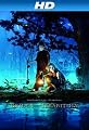 Bridge To Terabithia