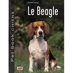 Beagle