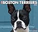 2016 Just Boston Terriers Box Calendar