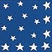 Entertaining with Caspari Stars and Stripes Paper Cocktail Napkins, Pack of 20