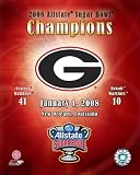University of Georgia Bulldogs , 16x20