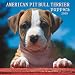 American Pit Bull Terrier Puppies 2009 7X7 Mini Wall Calendar