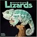 LIZARDS 2010 Wall Calendar #30111-10
